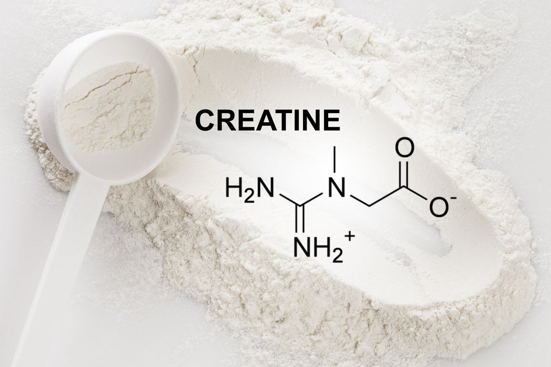 Creatine Supplementation