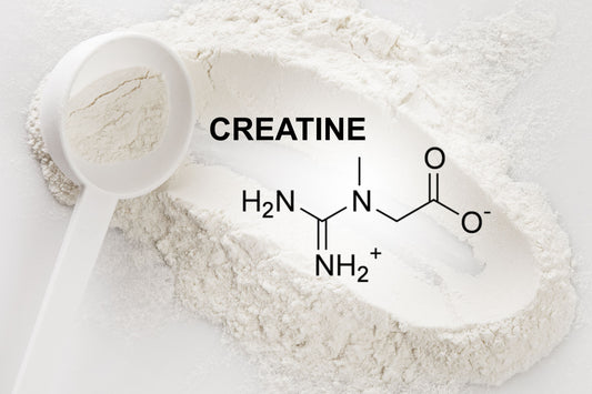 Creatine Supplementation